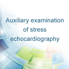Auxiliary examination of stress echocardiography