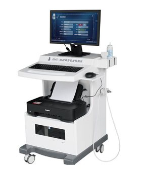 Ultrasonic bone densitometer